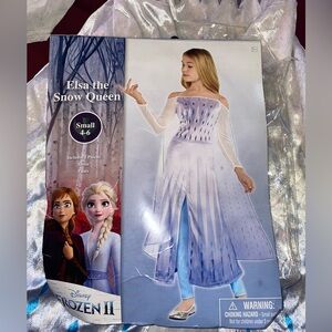 Elsa Costume